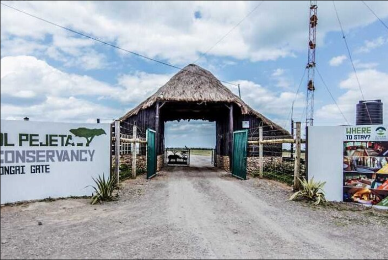 Full Day Private Guided Tour to Olpejeta Conservancy from Nairobi